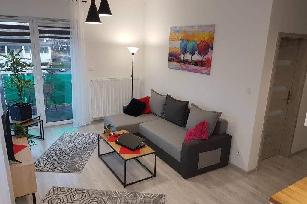 Komfortowy Nowoczesny Apartament Kustronia Z Garazem Balkonem Wanna Μπιέλσκο-Μπιάλα Εξωτερικό φωτογραφία